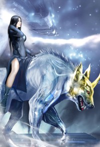 至尊狂妃:毒王心尖宠慕容风倾百里宁钰